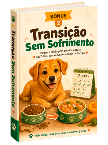 Bônus 2 — Transição Sem Sofrimento