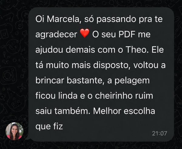 Depoimento real de cliente sobre o Theo