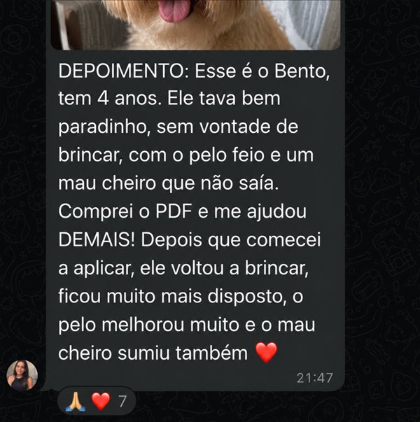 Depoimento real de cliente sobre o Bento