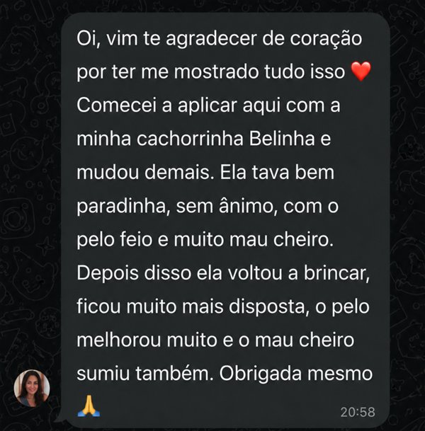 Depoimento real de cliente sobre a Belinha