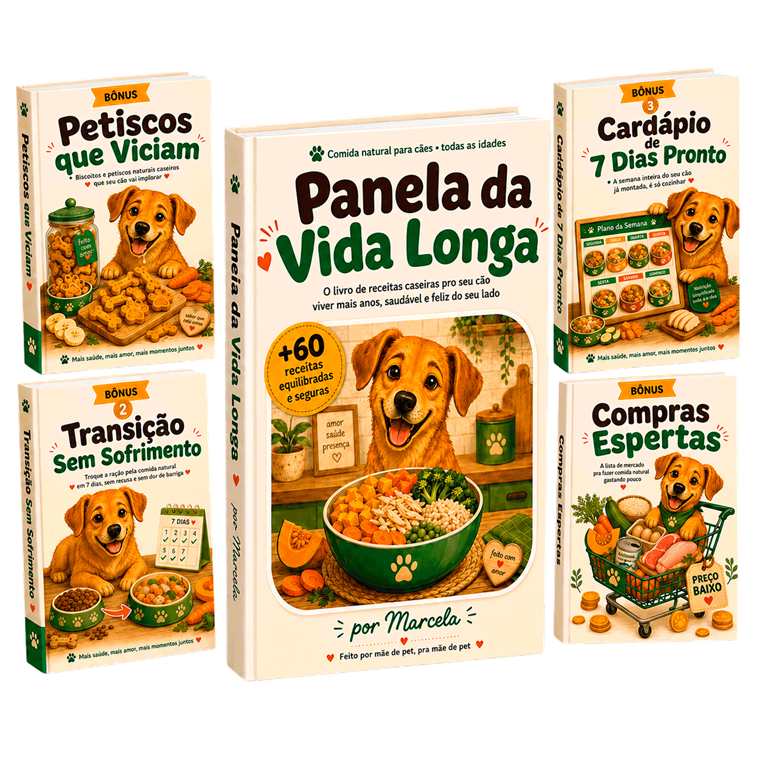 Tudo o que você leva — Panela da Vida Longa + 4 bônus